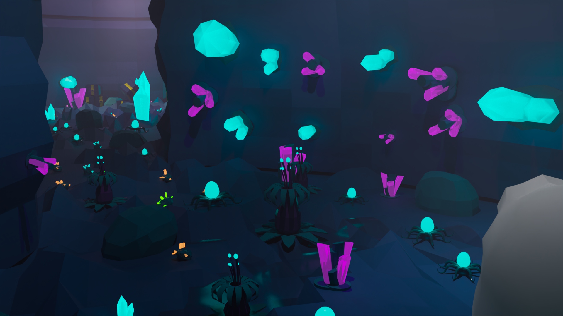 Image du Projet